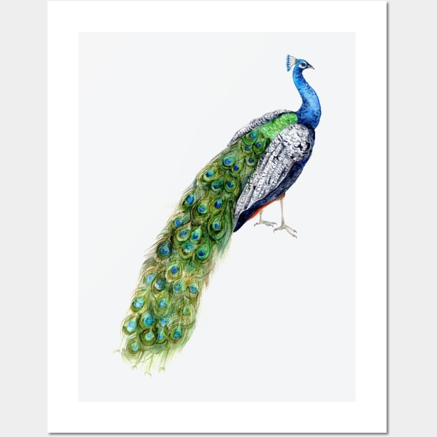 Green Peacock Wall Art by Goosi